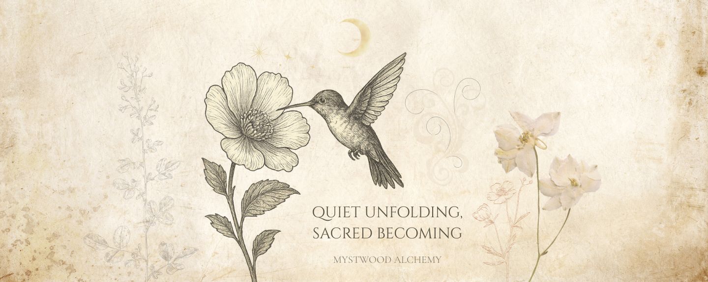 Quiet Becoming: Embracing the Hummingbird’s Message of Stillness and Transformation