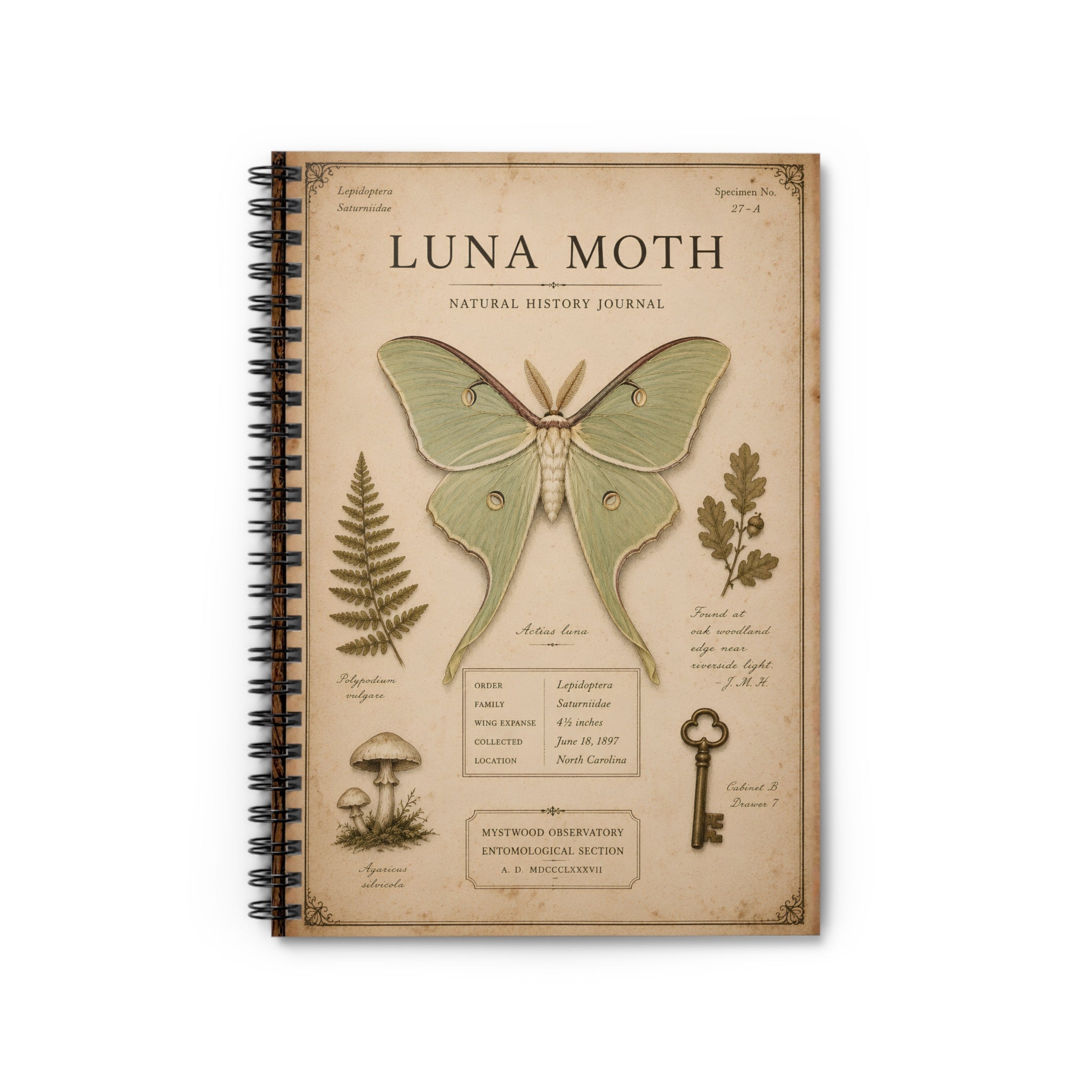 Luna Moth Journal