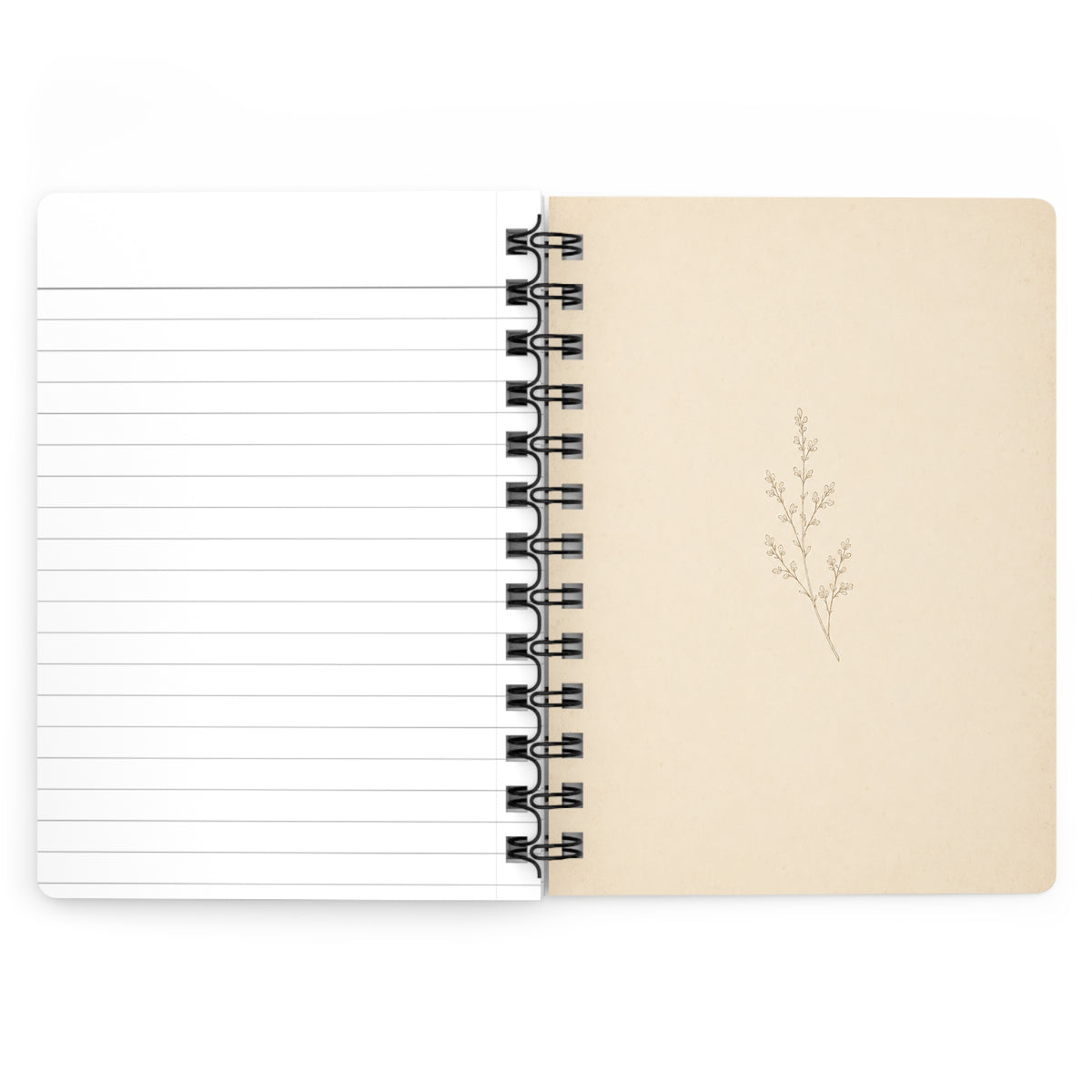 Luna Moth Natural History Journal