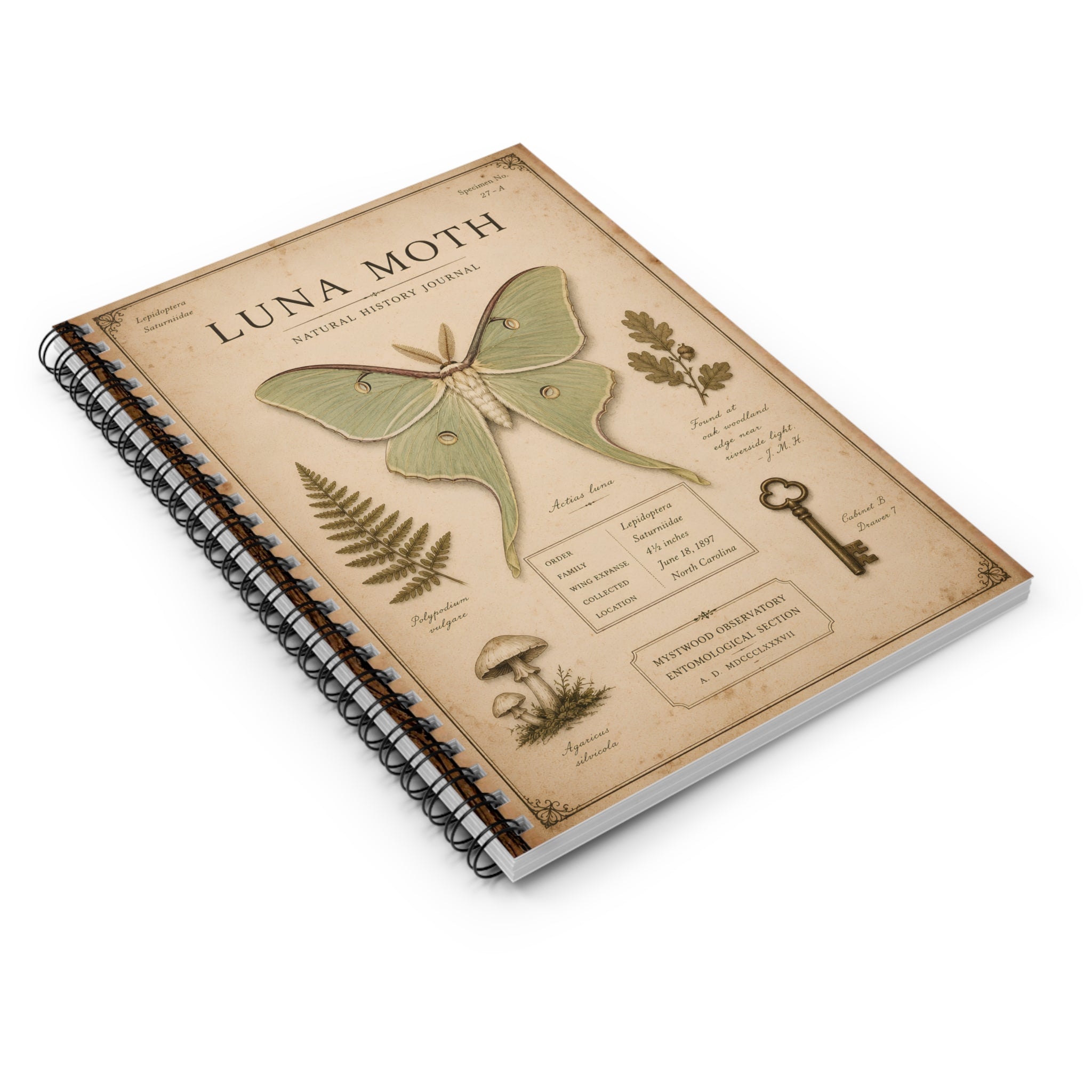 Luna Moth Journal