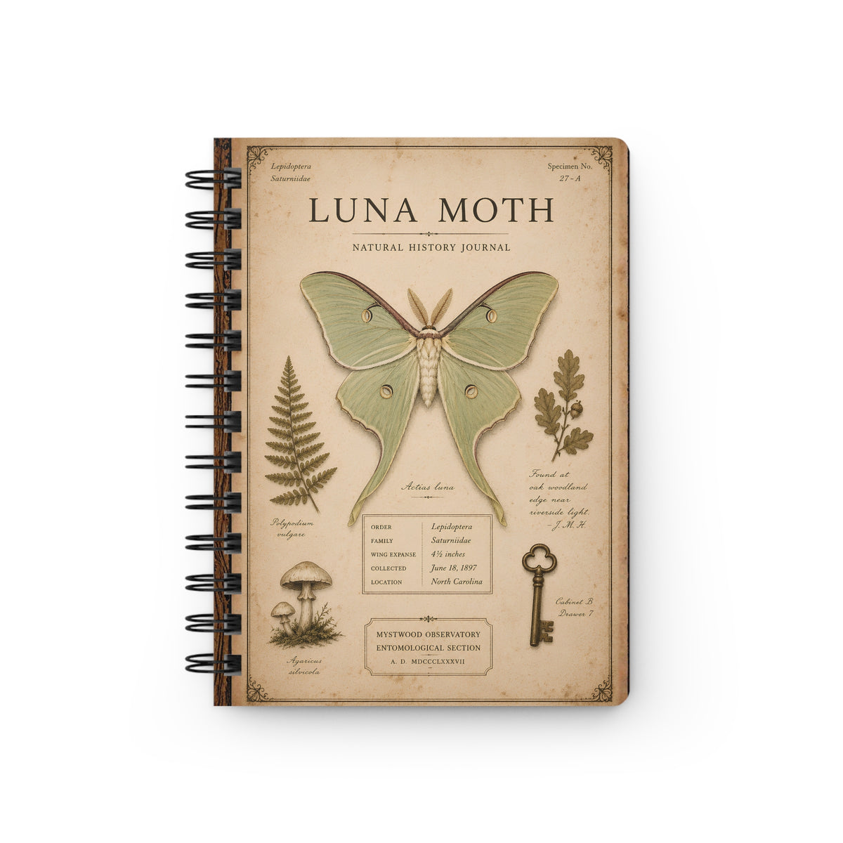 Luna Moth Natural History Journal