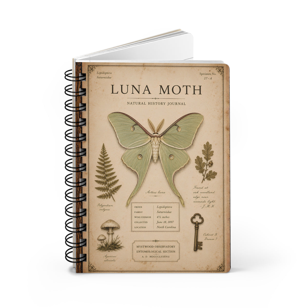 Luna Moth Natural History Journal