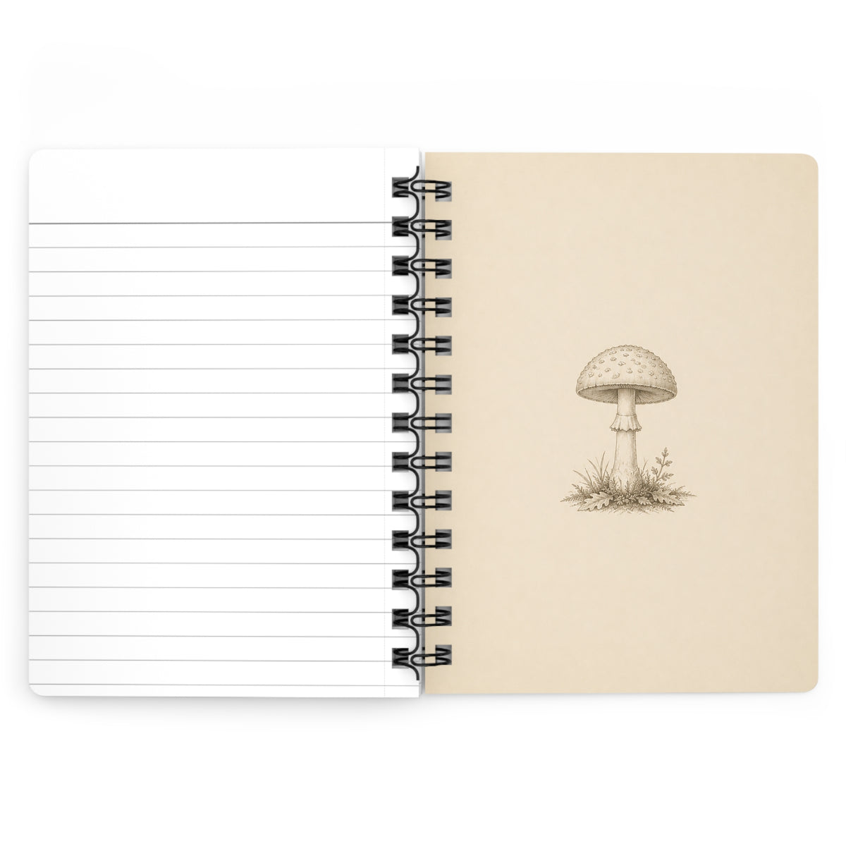 Enchanted Forest Natural History Journal